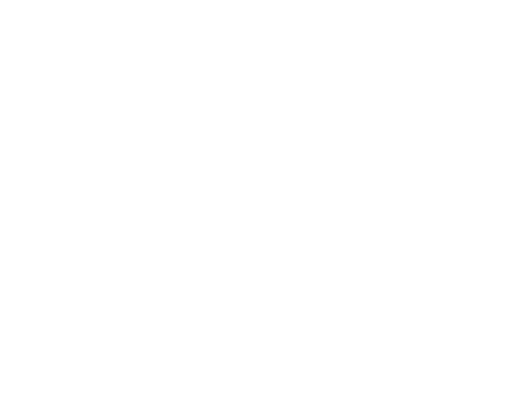 Tulip Festival Amsterdam