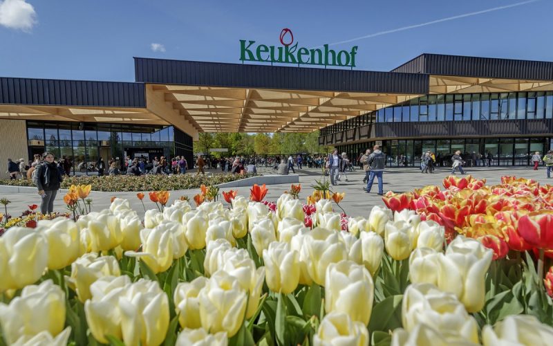 Keukenhof garden amsterdam