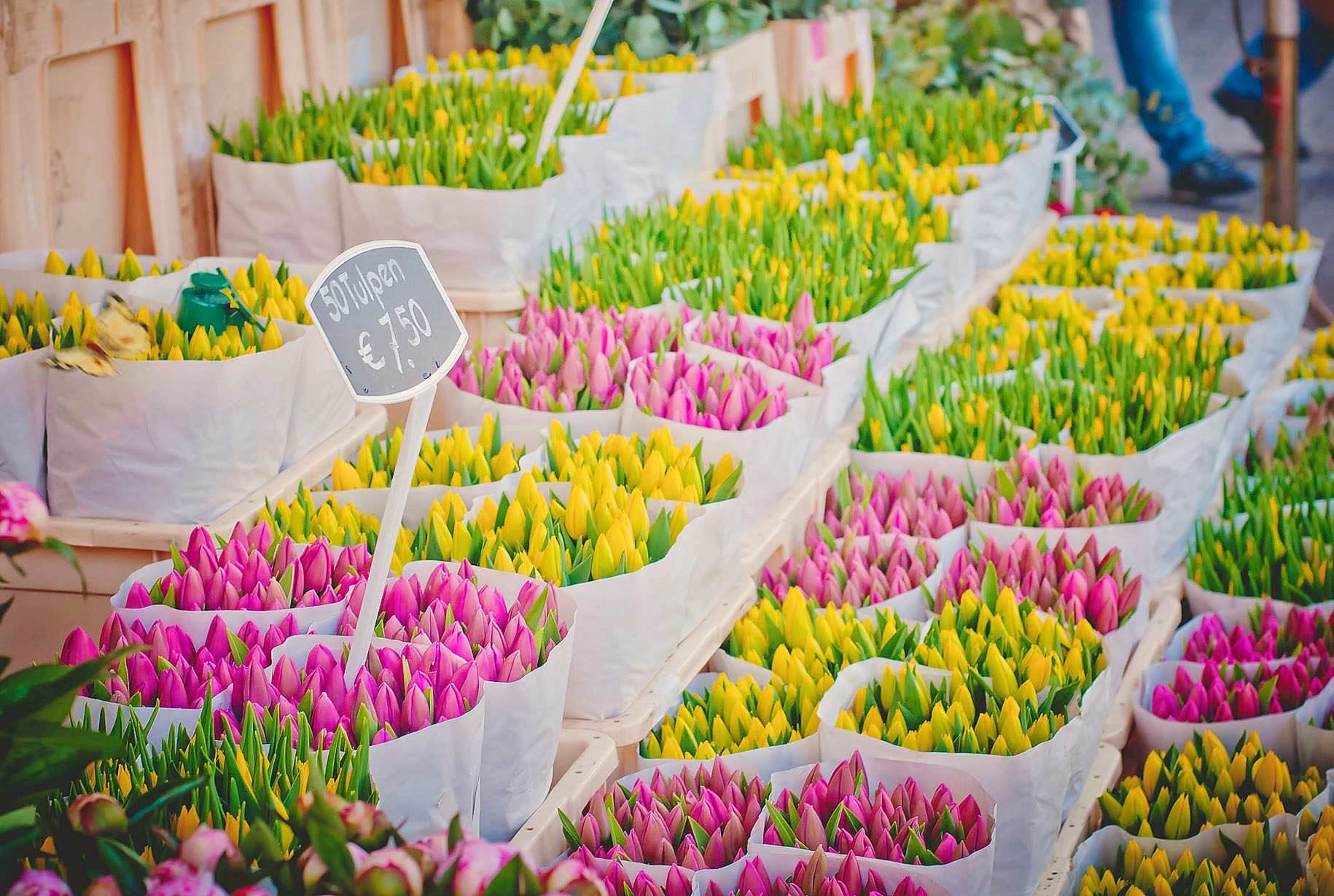 amsterdam flower market tours