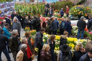 flower show Lenteflora Lisse
