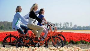 Rental bike Keukenhof