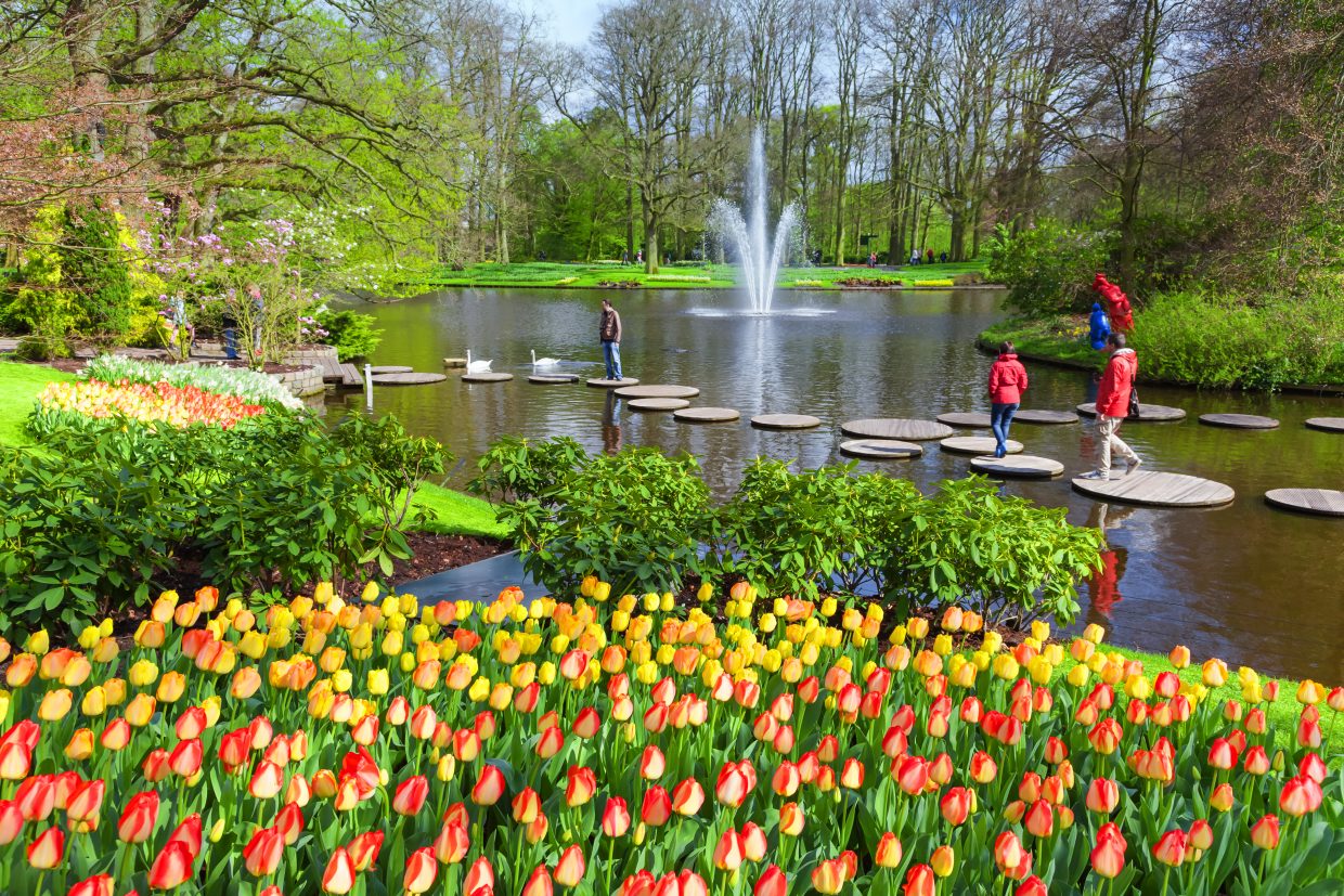 Keukenhof Tulip Gardens (Amsterdam, Holland) - Opening Hours, Prices