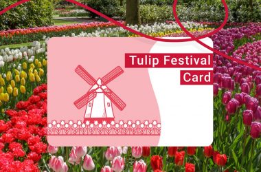 Tulip festival card 2022