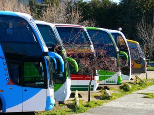 BUSSES keukenhof tours