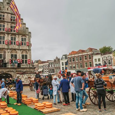Gouda cheese market