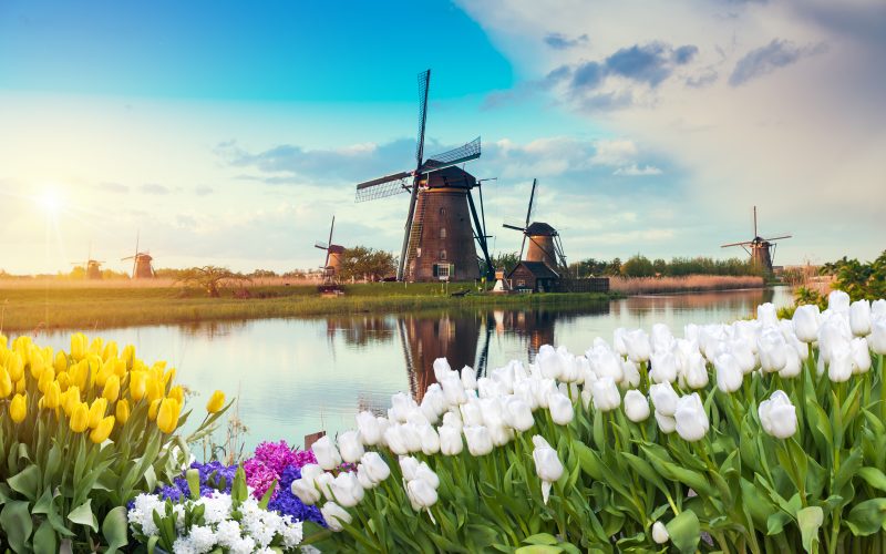 Dutch Countryside