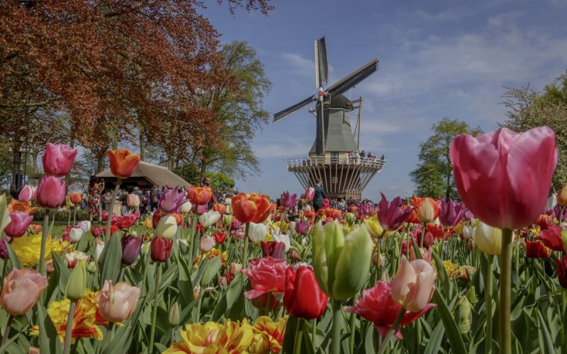 Keukenhof 2019 tickets