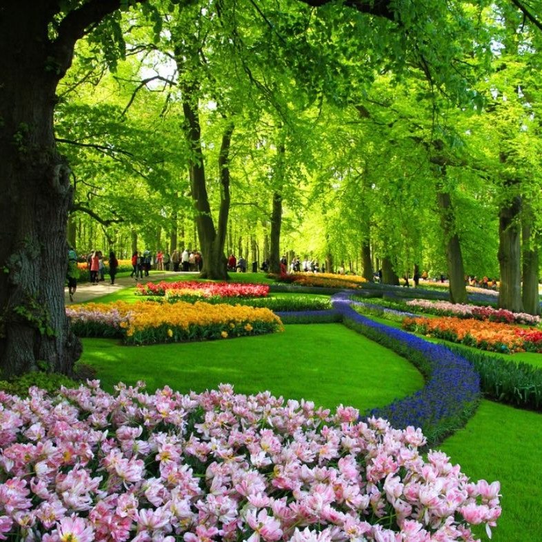 Keukenhof Tulip Gardens (Amsterdam, Holland) Opening hours, prices