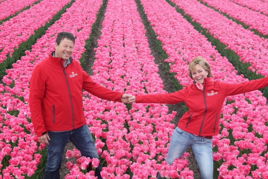 Tulip farm farmer