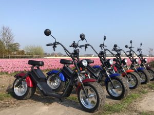 Electric Scooter Tulip Tour Keukenhof