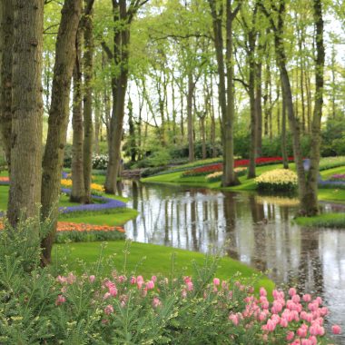 Keukenhof Spring Garden