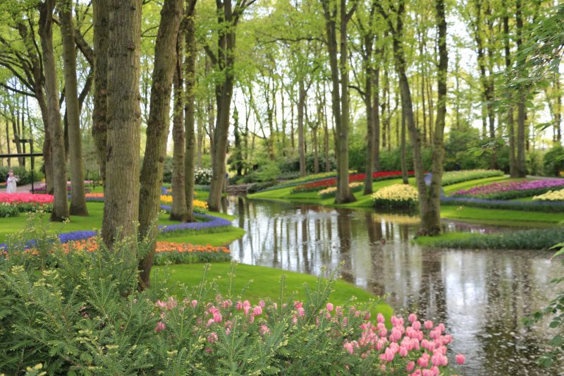 Keukenhof Spring Garden