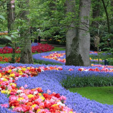 Keukenhof Spring Garden 1 May 2019