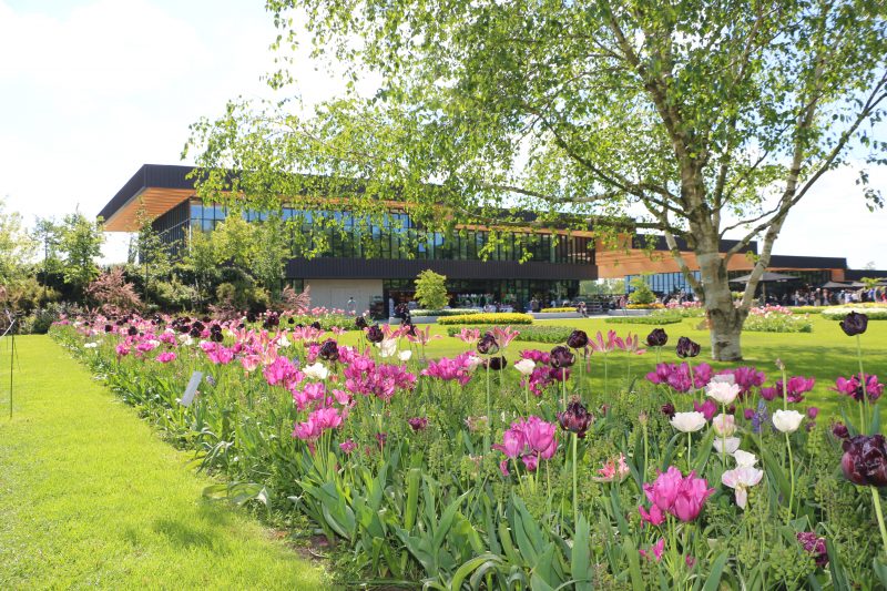 Keukenhof tulip gardens