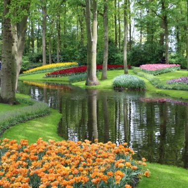 Keukenhof 7 May 2019