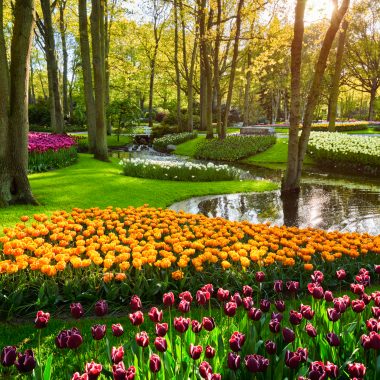 Keukenhof Gardens season pass