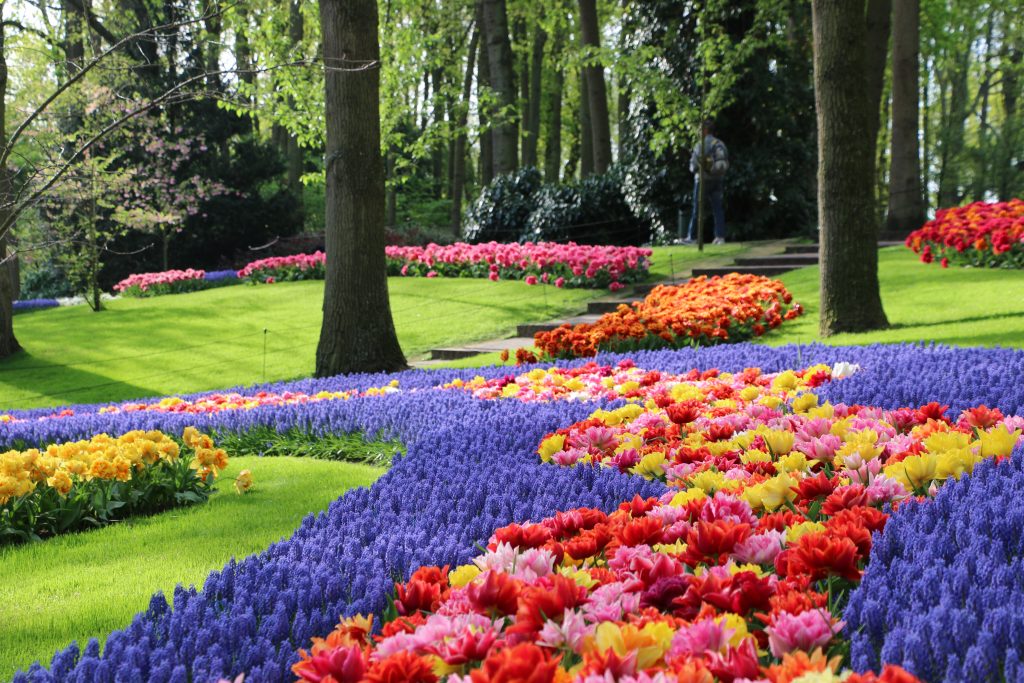 Keukenhof Gardens Amsterdam