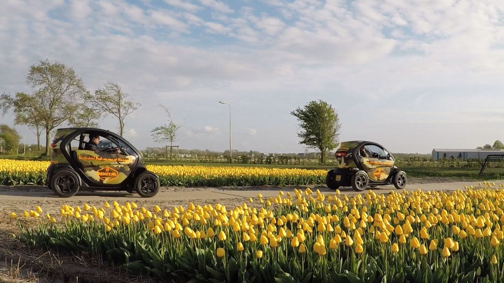 Electric Twizy tour tulip fields