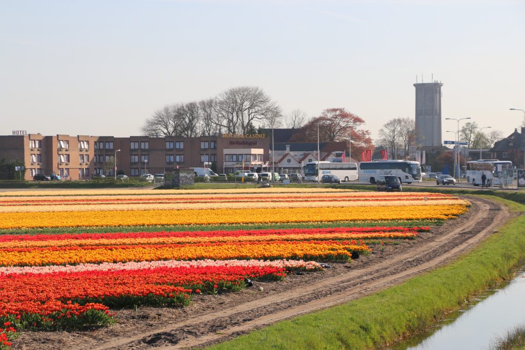 Hotel near Keukenhof