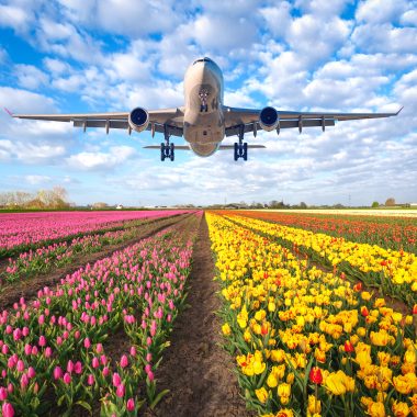 Flights to the tulips in Amsterdam