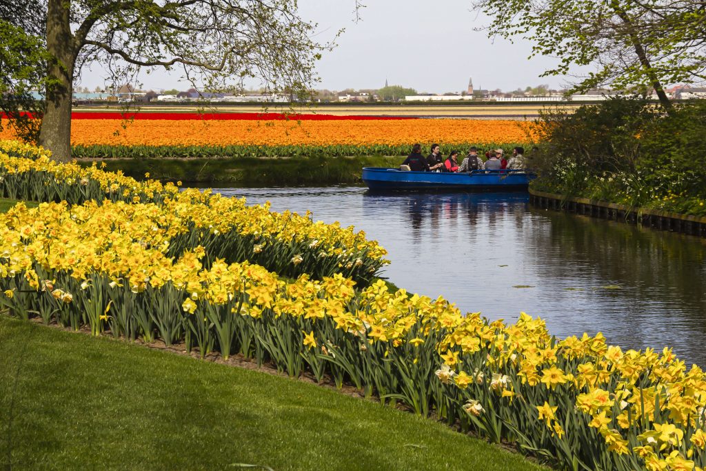 Keukenhof boat tour along the tulip fields 