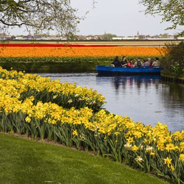 Keukenhof boat tour along the tulip fields