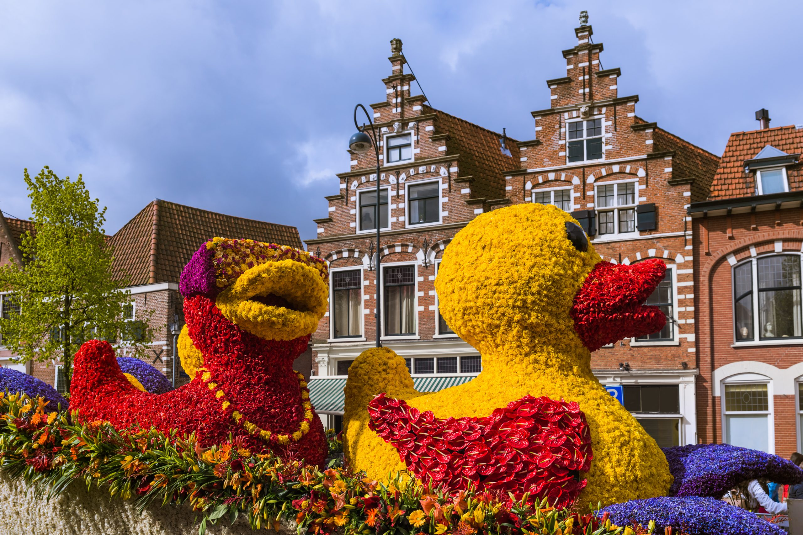Flower Parade Expo Haarlem 2024 Tulip Festival Amsterdam