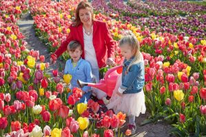 Tulip Barn Instagram Garden