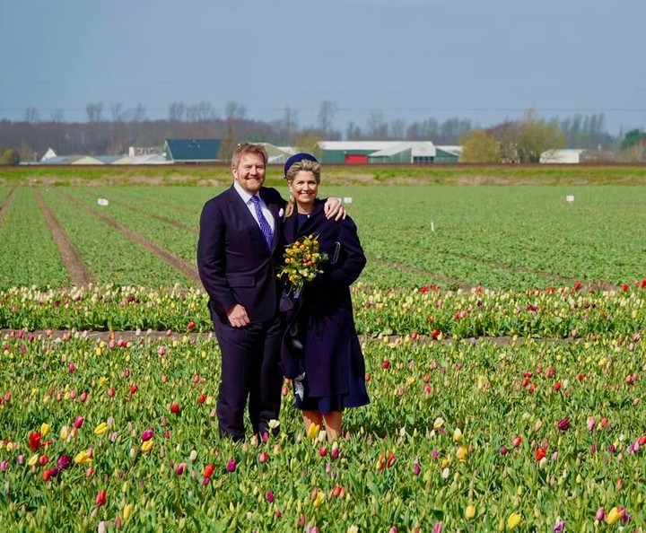 Flower Parade Corso Zundert 2022 - Tulip Festival Amsterdam