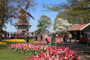 Flower forecast 21 april