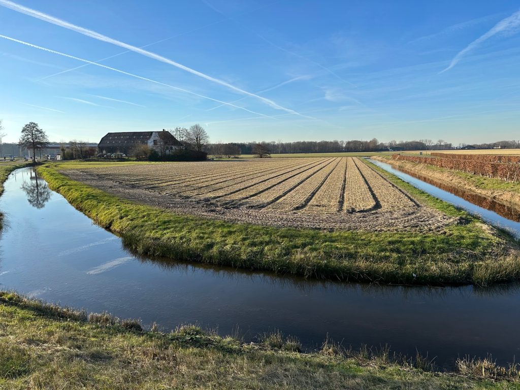 Holland flower fields February 2023