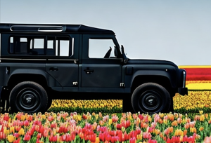 Tulip Safari Tour