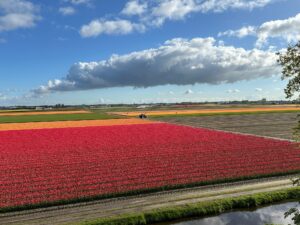 Flower Forecast 2025