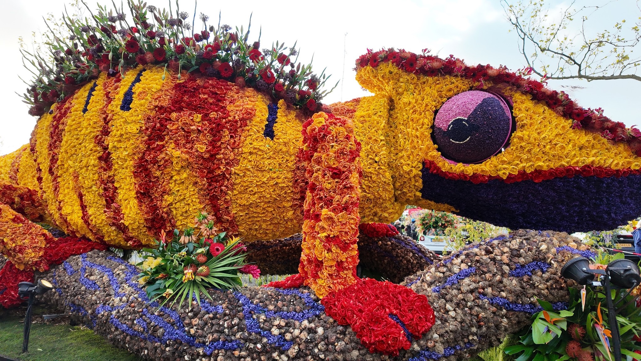 Construction days Flower Parade 2025 Take a look behind the scenes