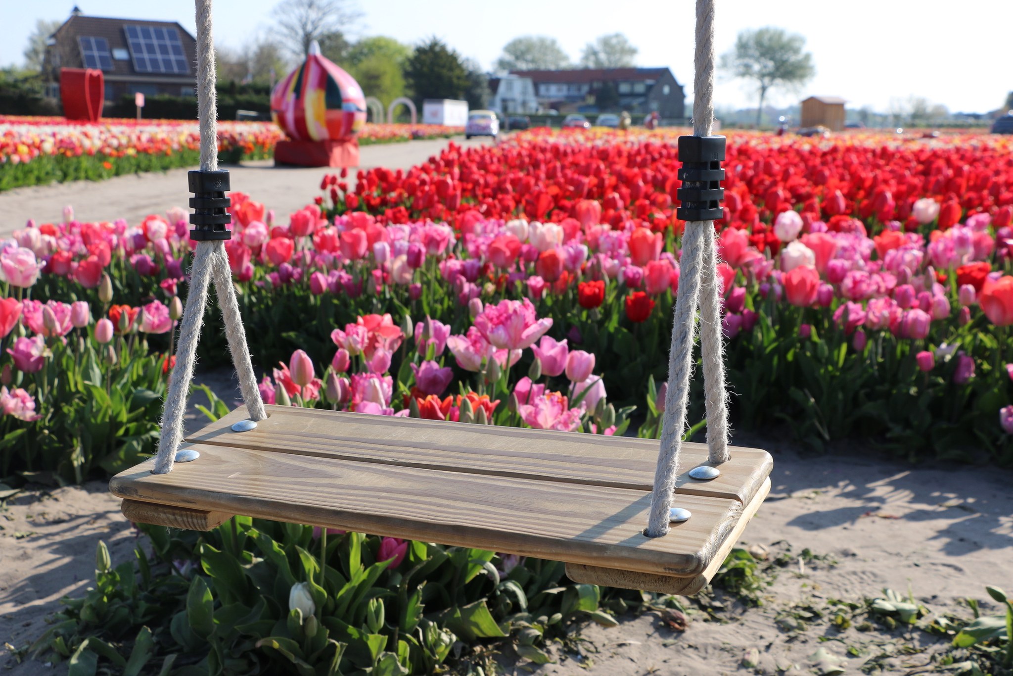 Have you ever swung between the tulips...? 🌷

www.tulipfestivalamsterdam.com