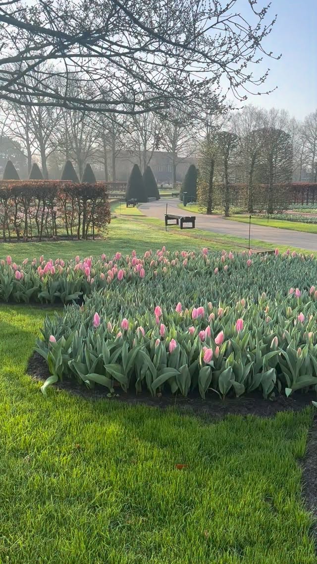 Keukenhof Gardens, 23 March 2026 🌷