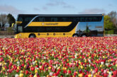 Keukenhof Amsterdam Schiphol Airport Bus